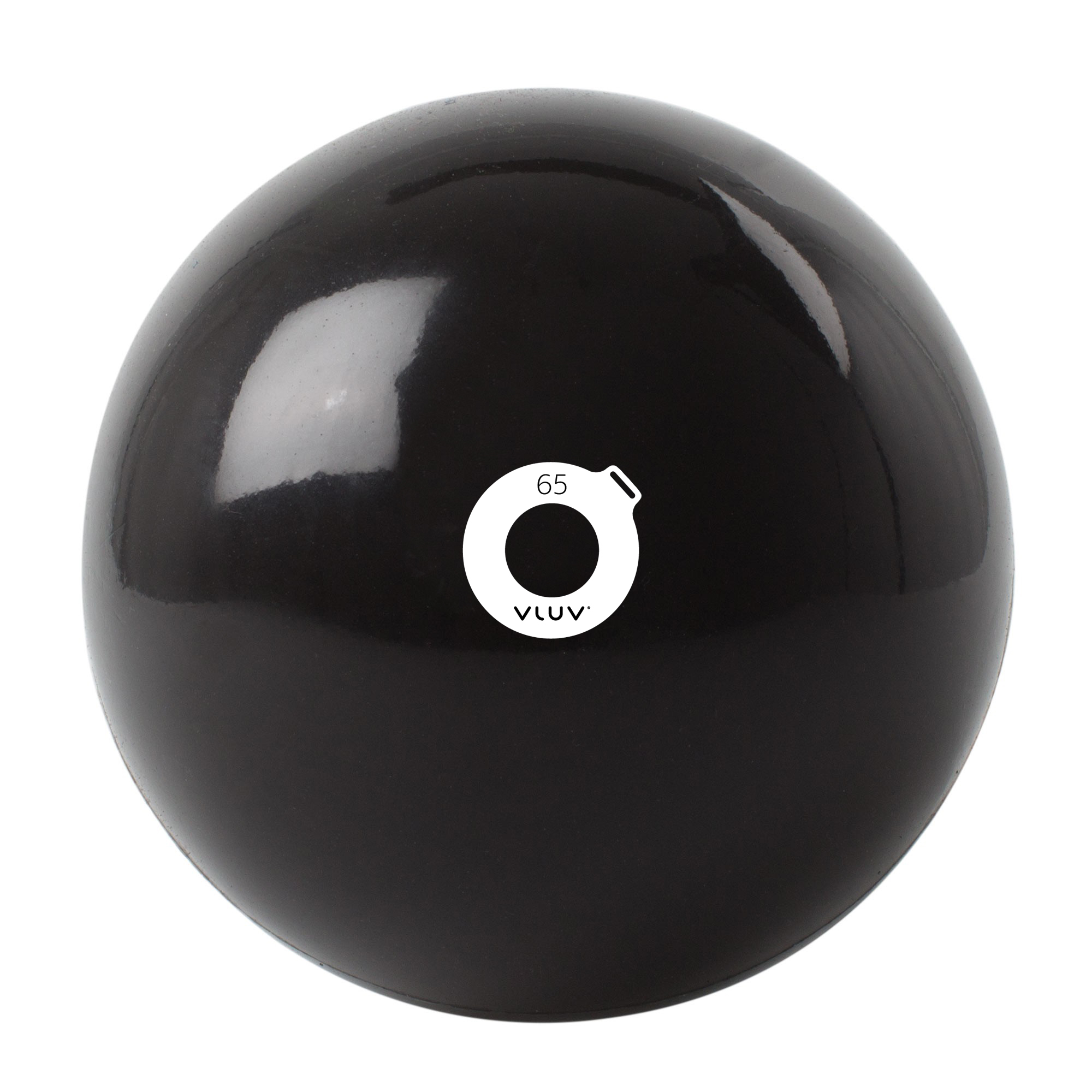 LT-SM-65 Gym ball