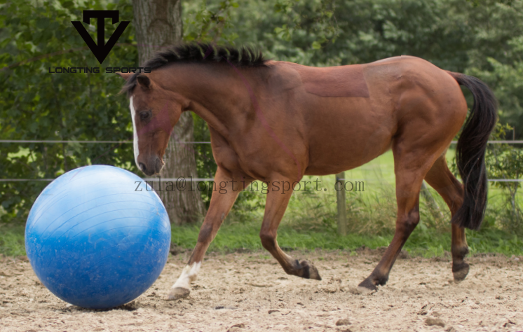 Horse Gym Ball