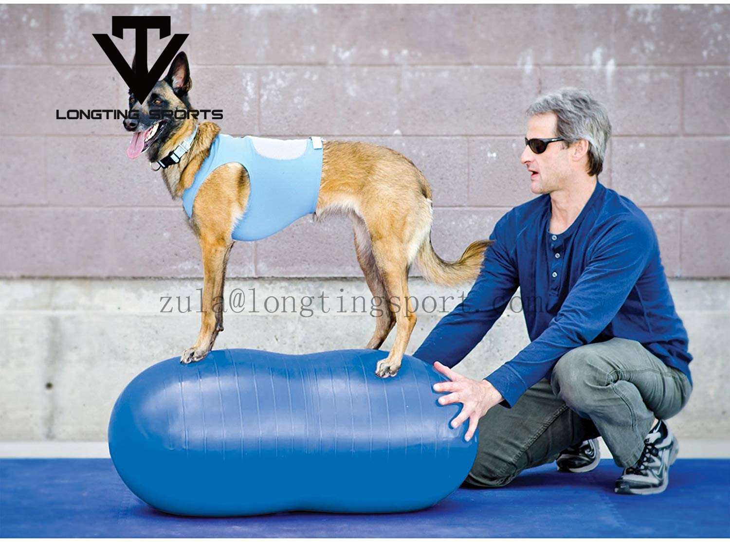 LT-DB-45 Dog Gym Ball
